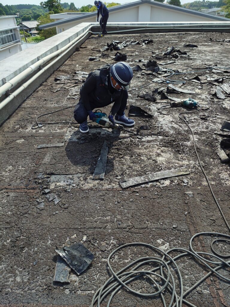 既存防水層の撤去作業③